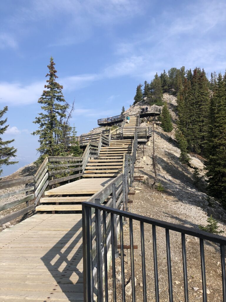 Mount Sulphur Trail to the Summit