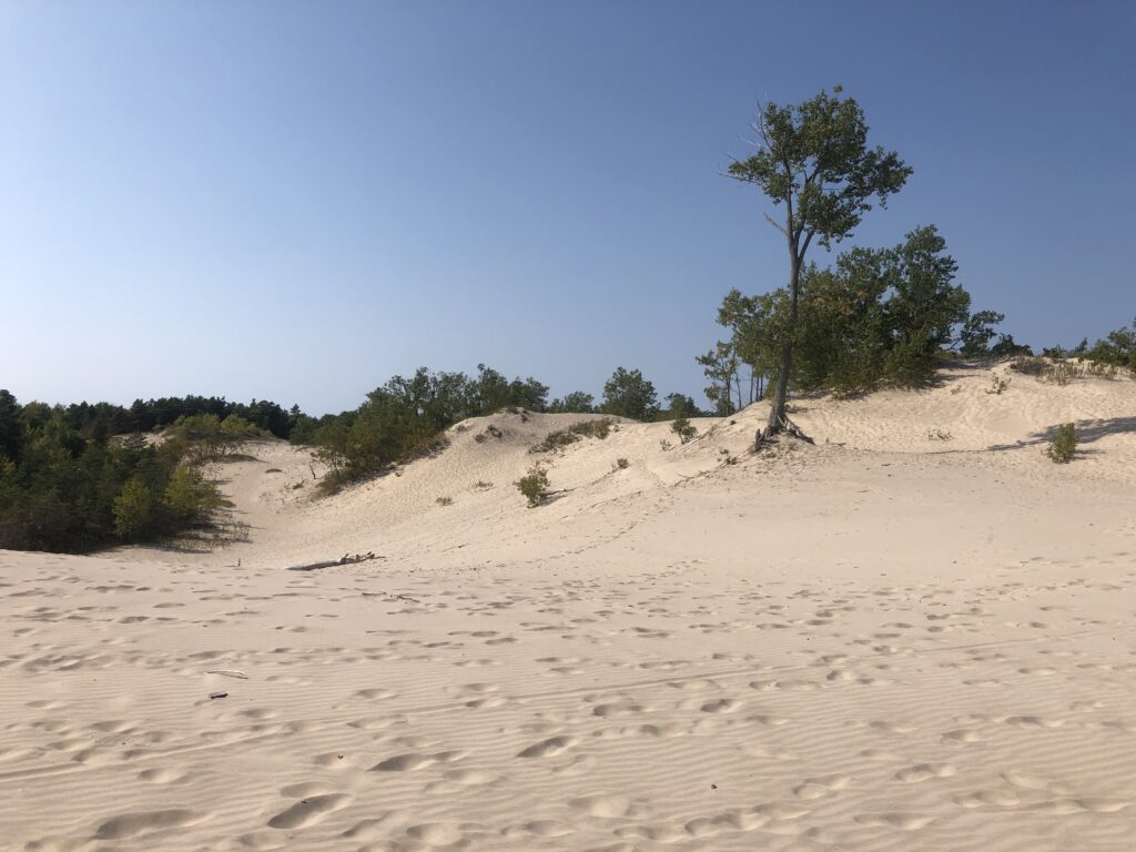 Sand Dunes Beach