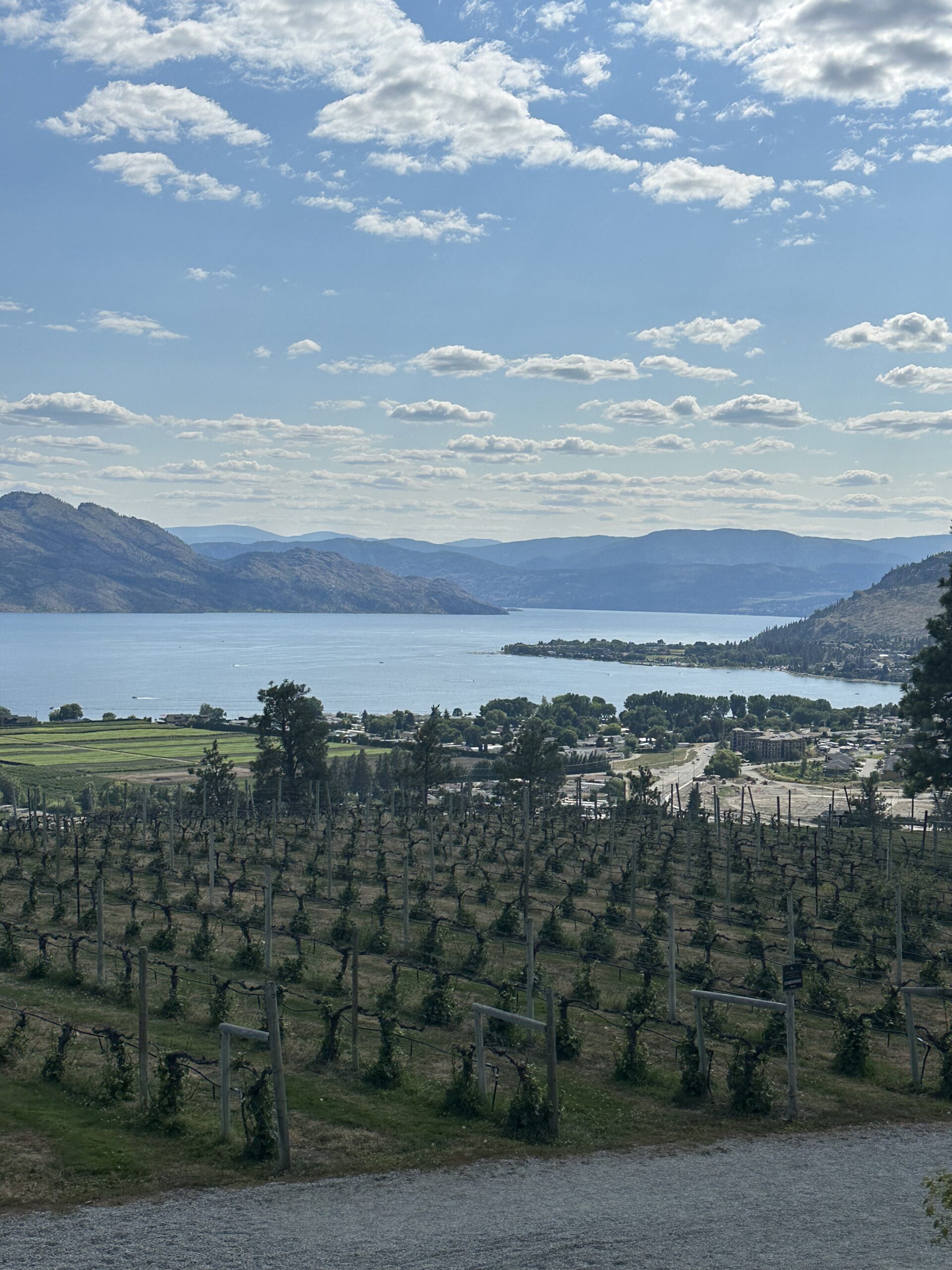 View from 
Mission Hill Winery