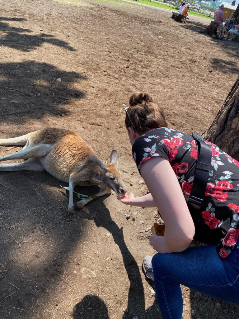 Kangaroo Creek Farm